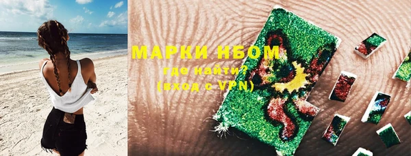 хмурый Сосновый Бор