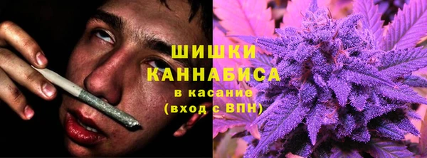 тгк Сосновоборск