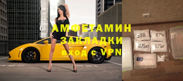 хмурый Сосновый Бор