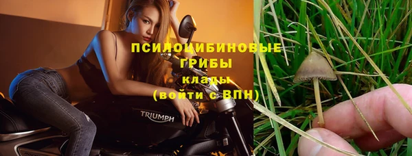 хмурый Сосновый Бор
