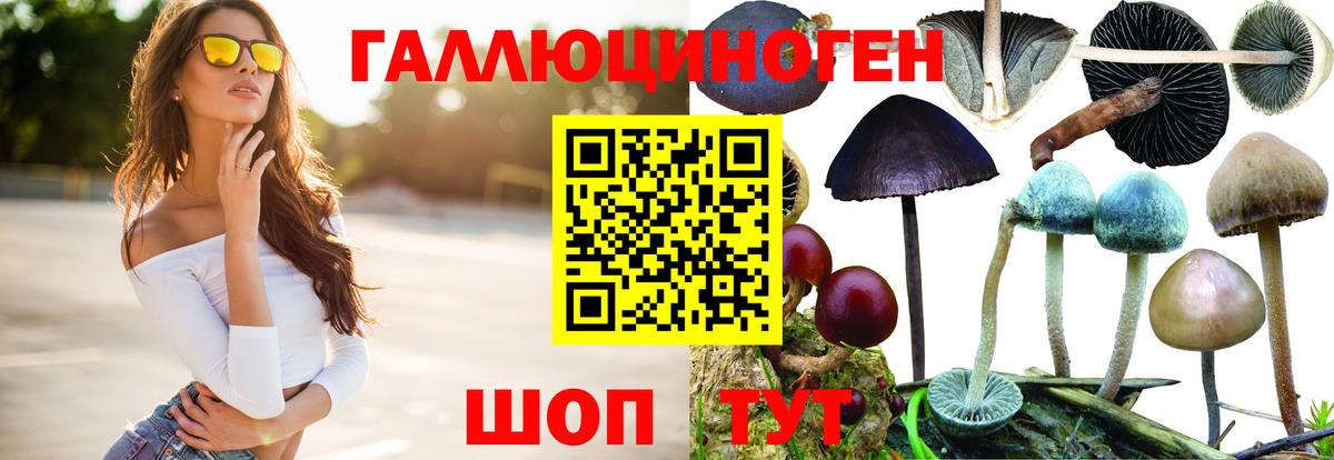 Галлюциногенные грибы мицелий Туапсе